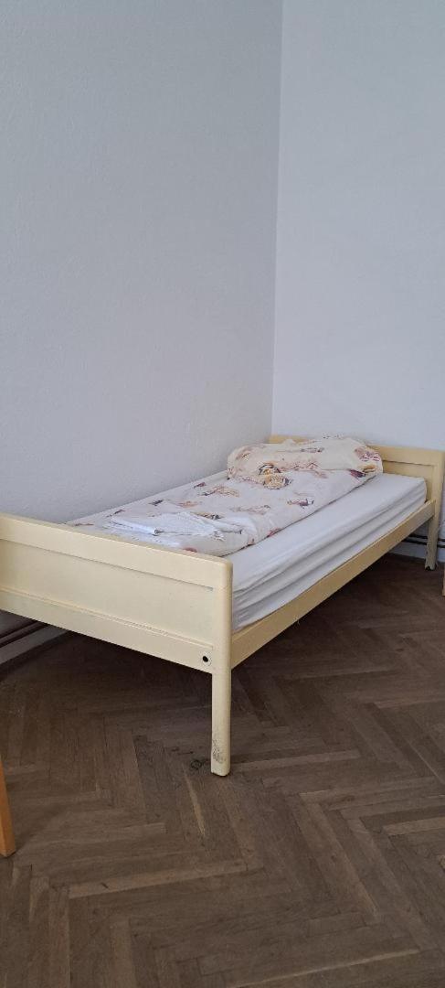 Gaestehaus Făgăraş 外观 照片